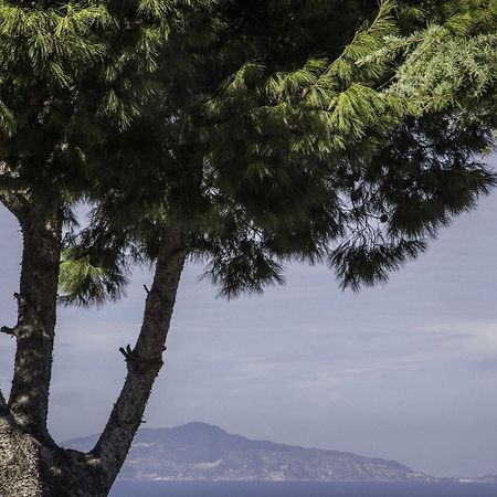 Il Giardino Dell'Arte Bed and Breakfast Anacapri  Exteriör bild