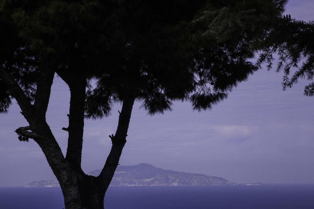 Il Giardino Dell'Arte Bed and Breakfast Anacapri  Exteriör bild