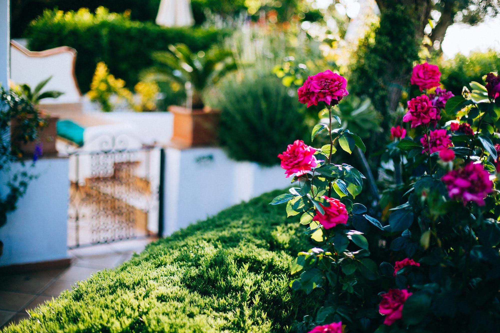 Il Giardino Dell'Arte Bed and Breakfast Anacapri  Exteriör bild