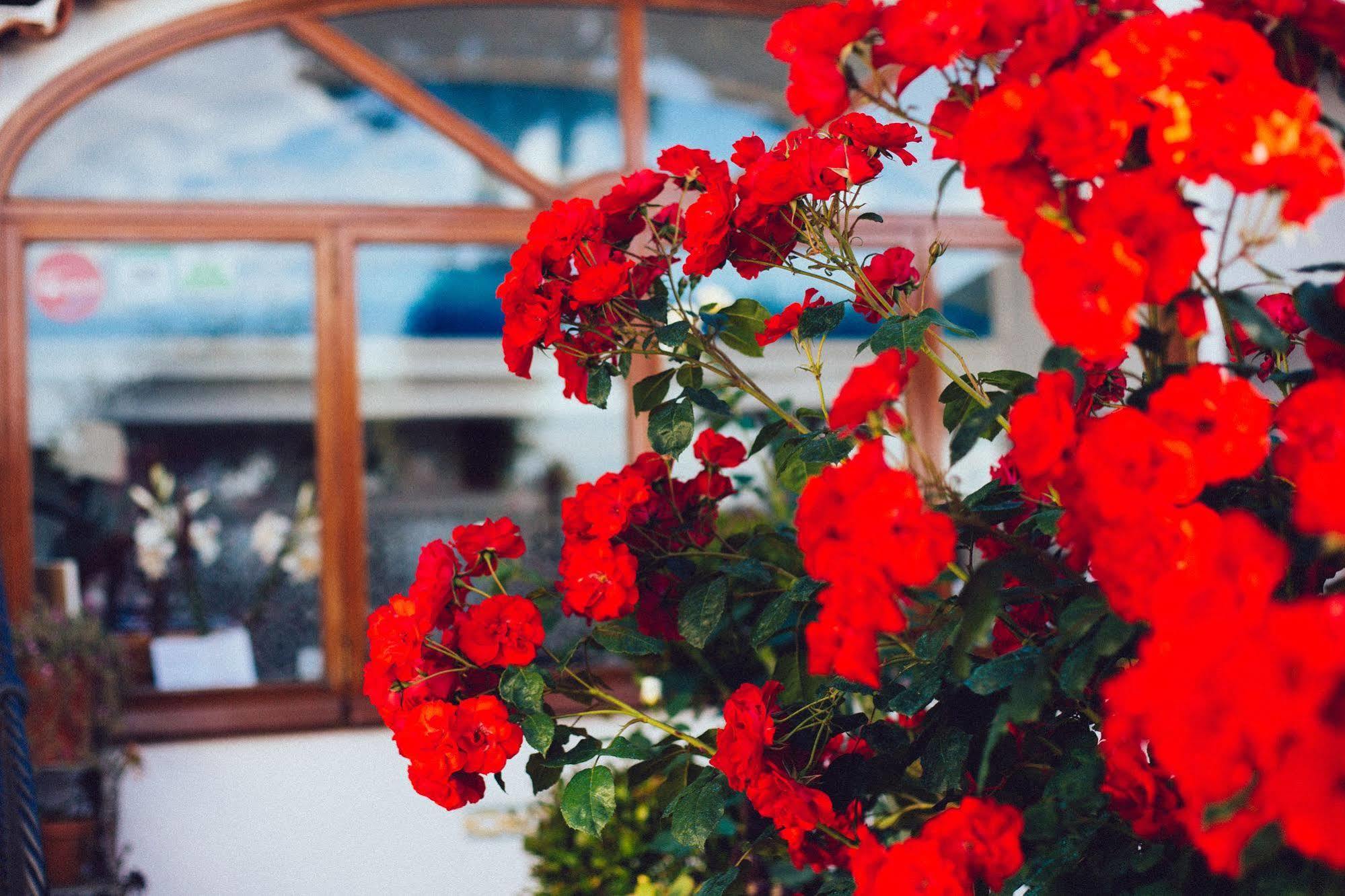 Il Giardino Dell'Arte Bed and Breakfast Anacapri  Exteriör bild