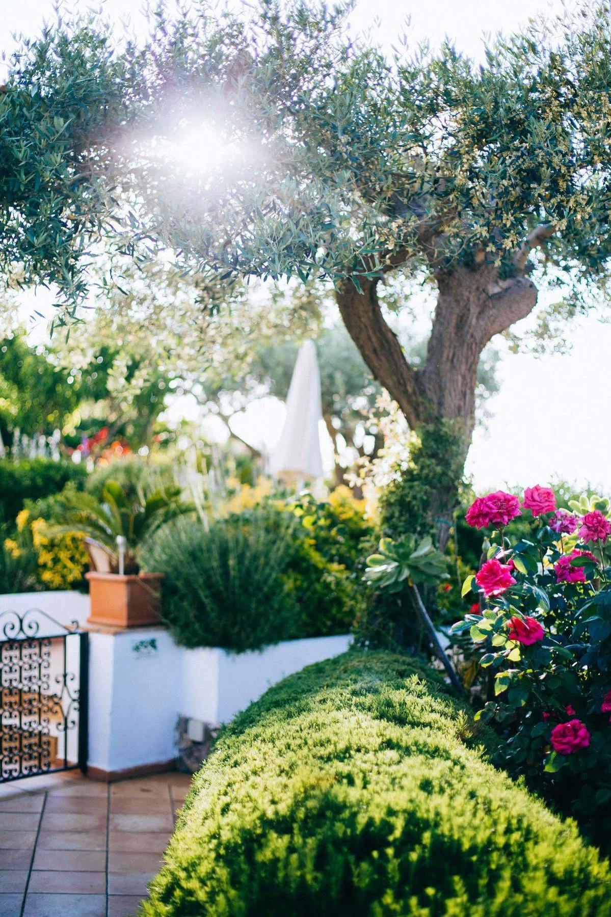 Il Giardino Dell'Arte Bed and Breakfast Anacapri  Exteriör bild